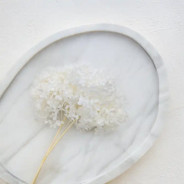 Hydrangea Bleached Royal 03.png