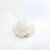 Hydrangea Bleached Royal 05.png