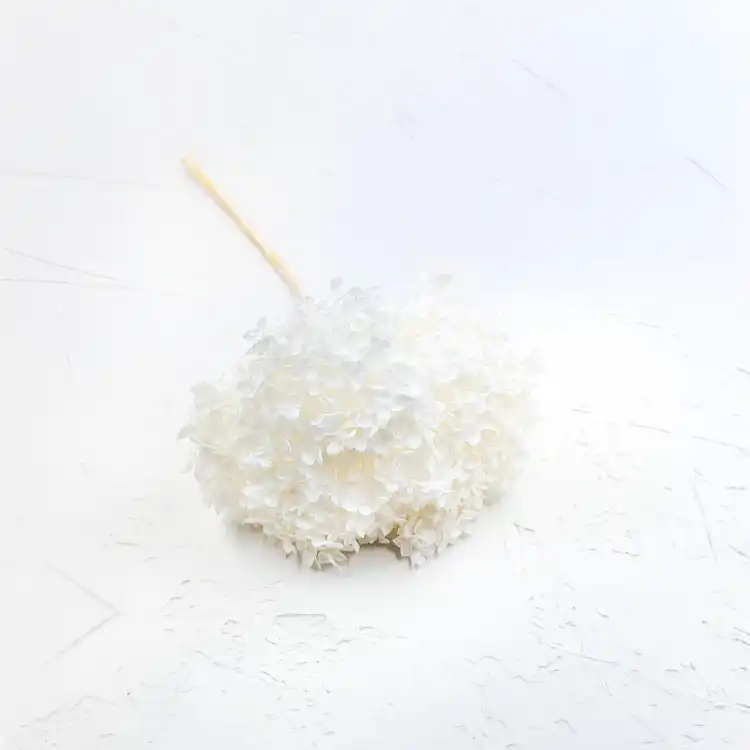Hydrangea Bleached Royal 05.png