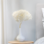 Hydrangea Bleached Royal 02.png