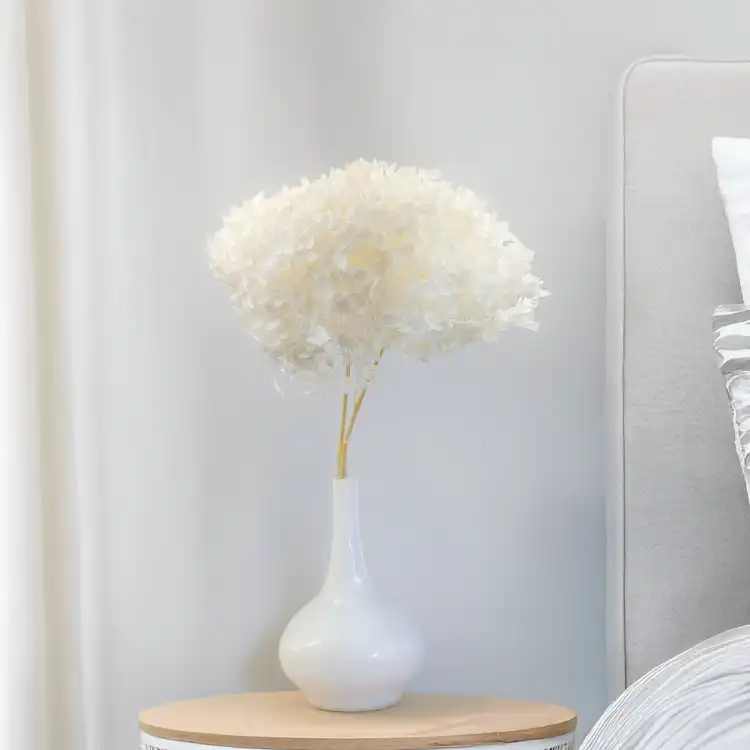 Hydrangea Bleached Royal 02.png