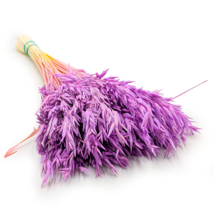 Getrocknete Gerste -  Violette