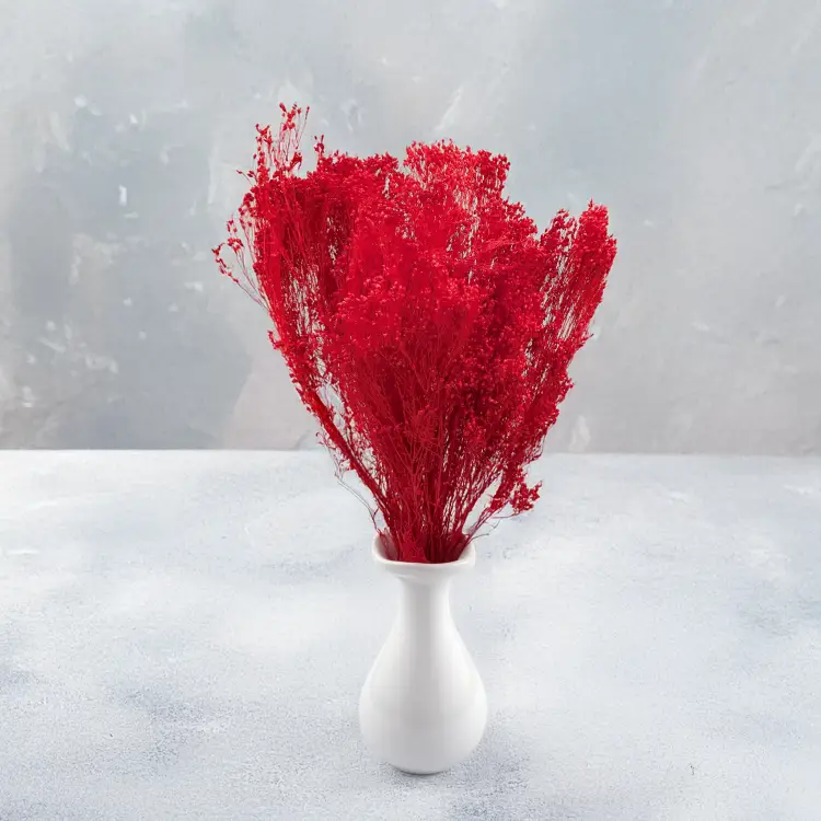 Broom czerwony 4.png