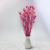 Nigella orient Lila 5.png