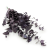 Stuartiana Milka LC.png