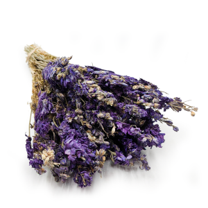 Rittersporn - (Delphinium) - Blau