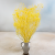 Statice Marine Yellow It 4.png