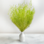 Statice Marine Lt Green IT 4.png