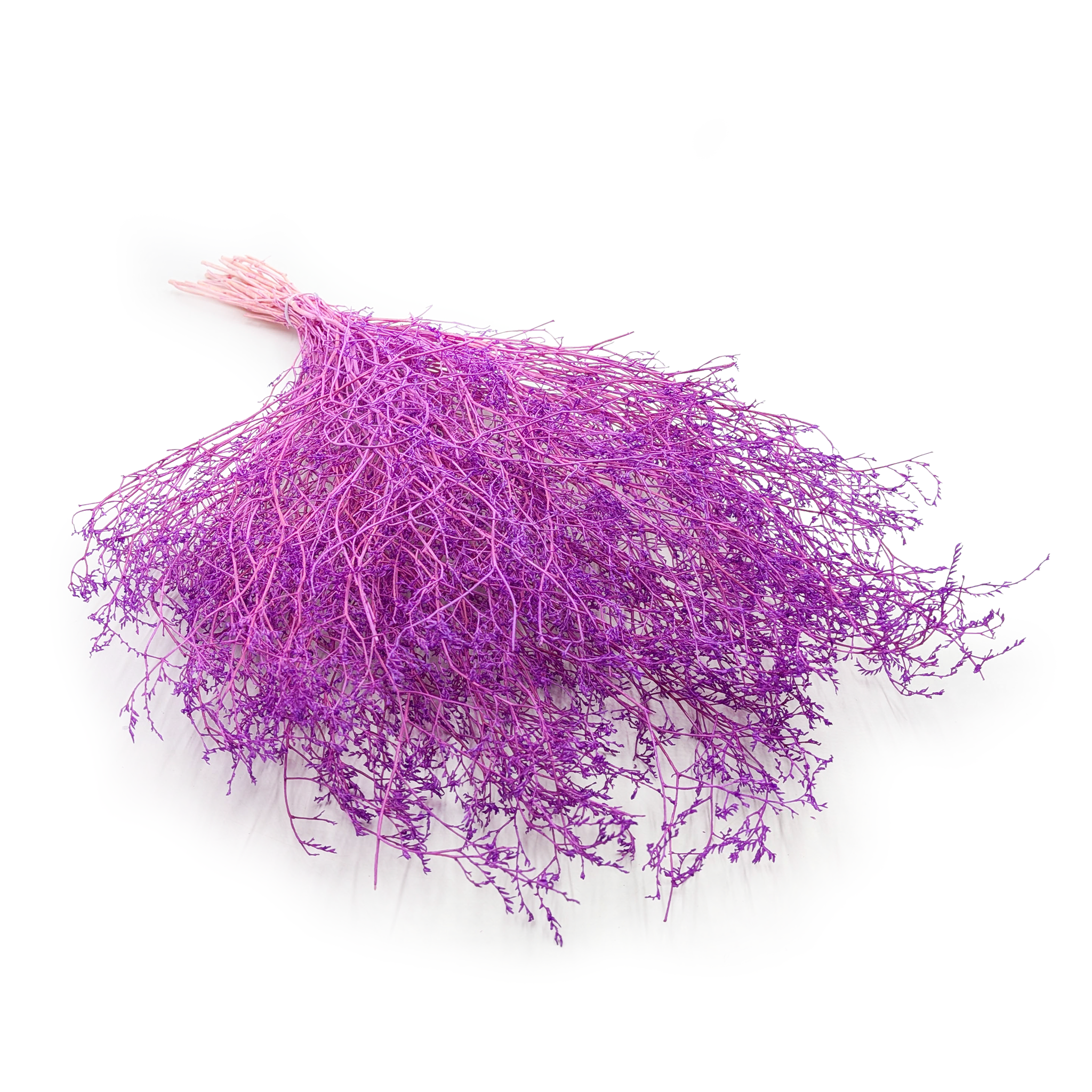 Getrockneter Strandflieder – Limonium Latifolium – Fliederfarben