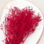Statice Marine Red IT 2.png