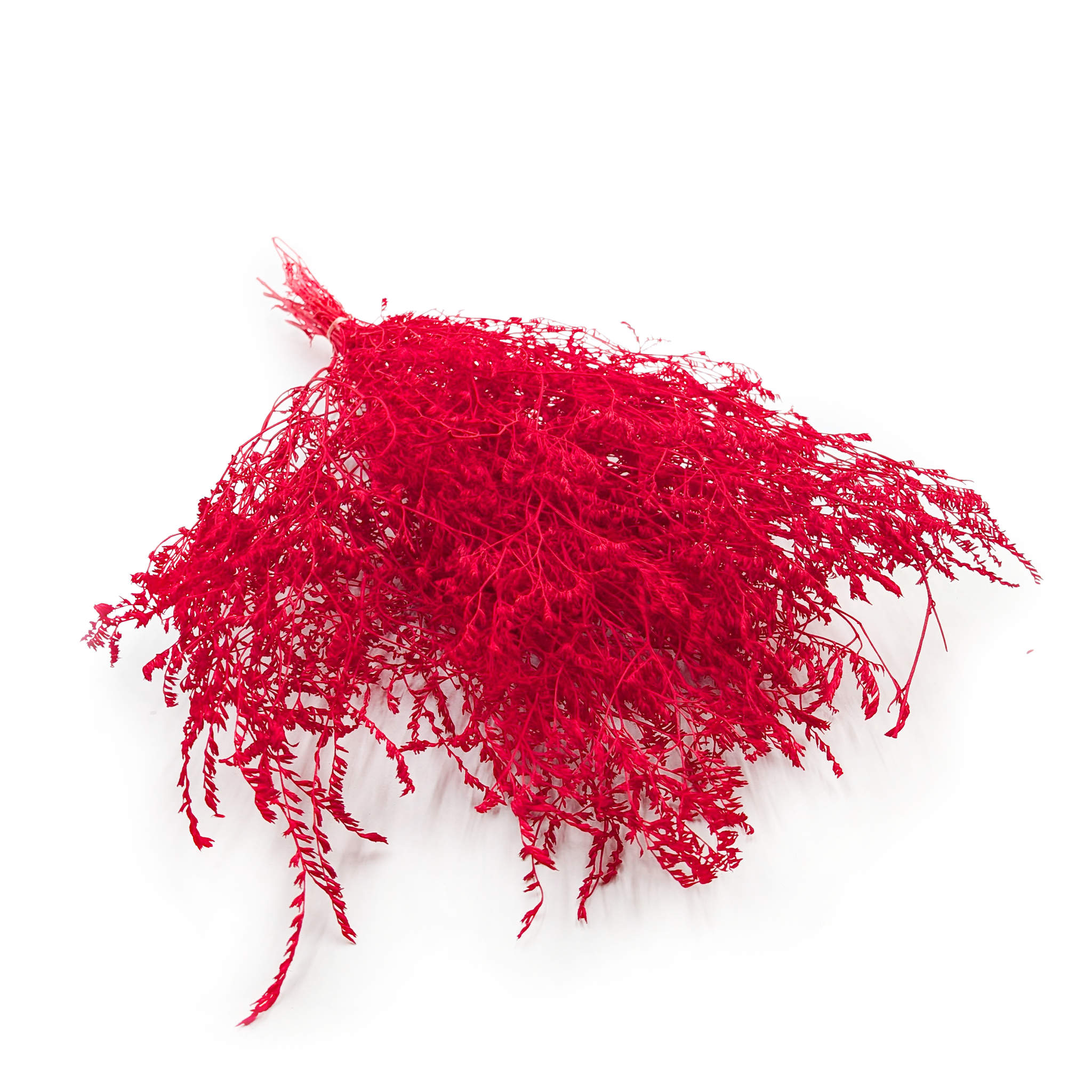 Getrockneter Strandflieder – Limonium Latifolium – Rot