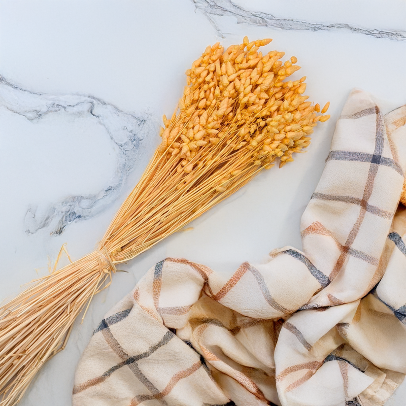 Briza maxima Peach 4.png