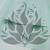 P-HXJ 134 2.png