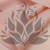 P-HXJ 162 5.png