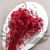 Gips Red Royal 14 4.png