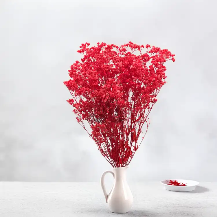 Gips Red Royal 14 5.png