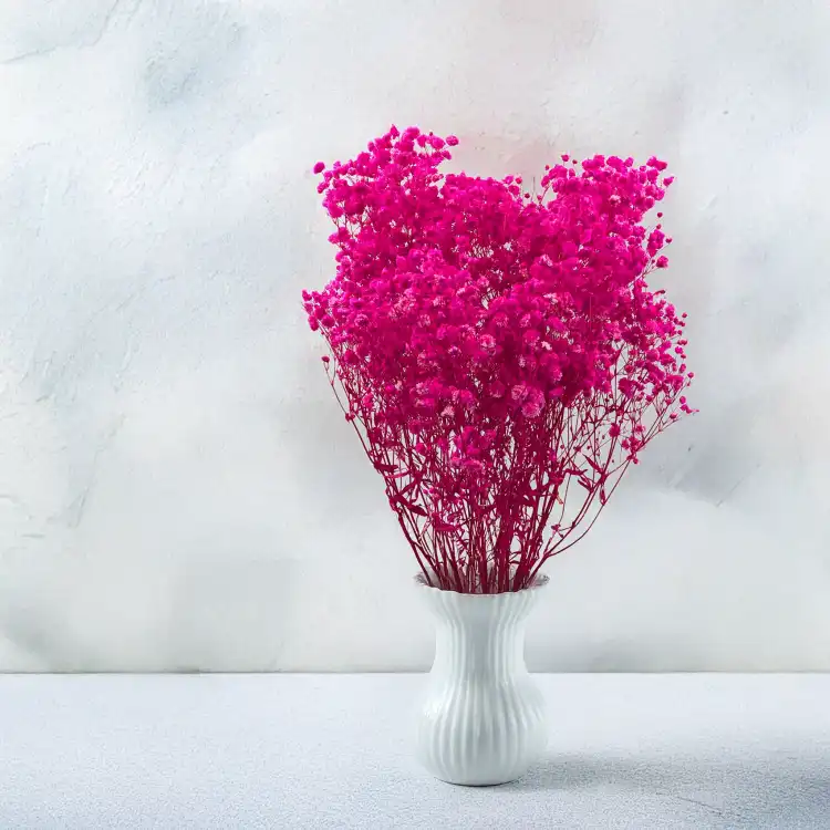 Gips Fuchsia Royal 06 5.png