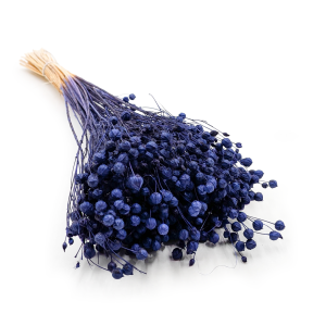 Getrockneter Flachs - Marineblau
