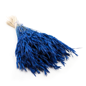 Getrocknete Gerste -  Königliches Marineblau