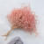 Statice Tataricum Lt Pink it 2.png