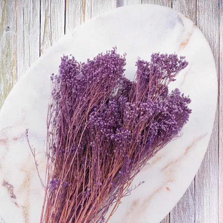 Broom Bloom lawendowy 5.png