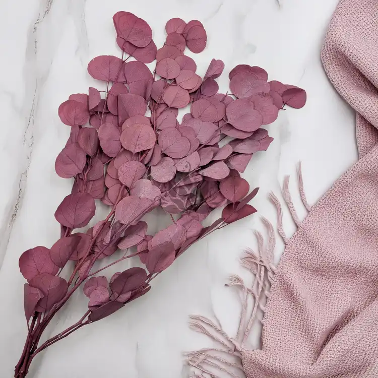 POPULUS ROYAL DUSTY PINK 3.png