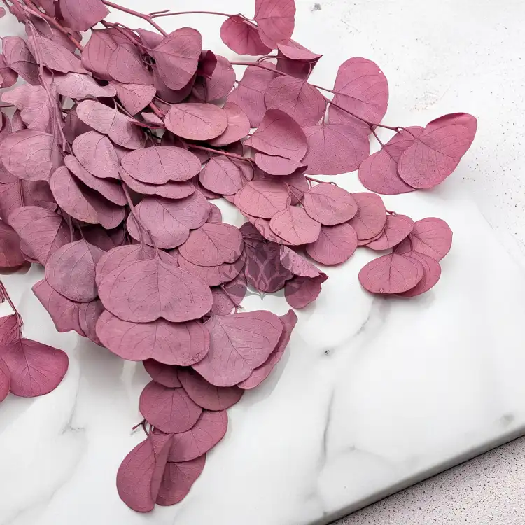 POPULUS ROYAL DUSTY PINK 1.png
