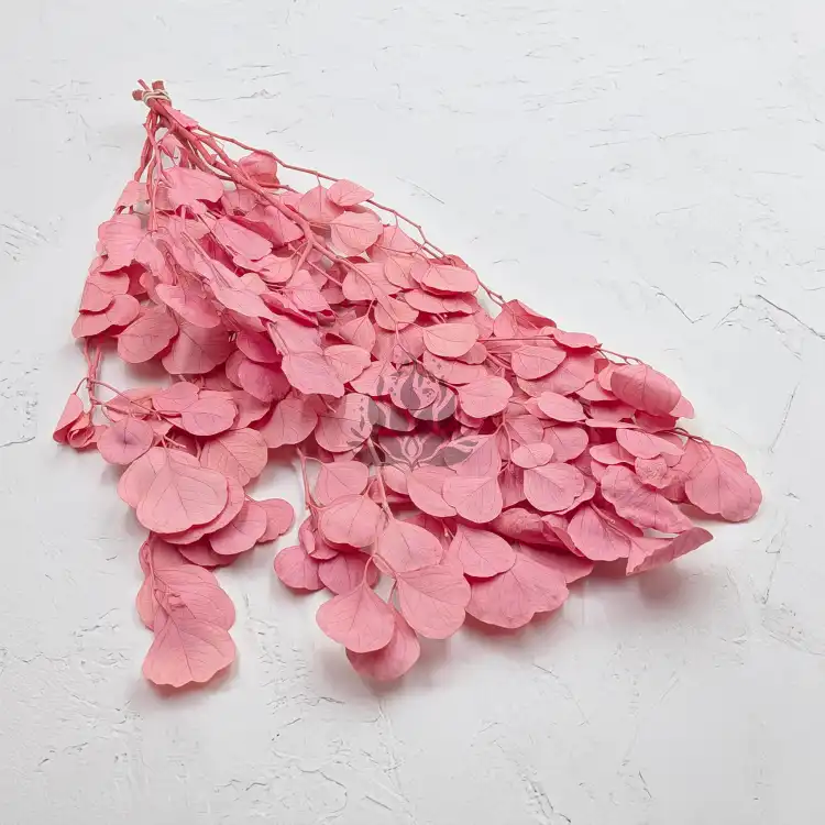 POPULUS ROYAL PINK 1.png