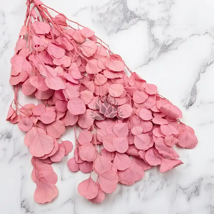 POPULUS ROYAL PINK 2.png