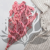POPULUS ROYAL PINK 5.png