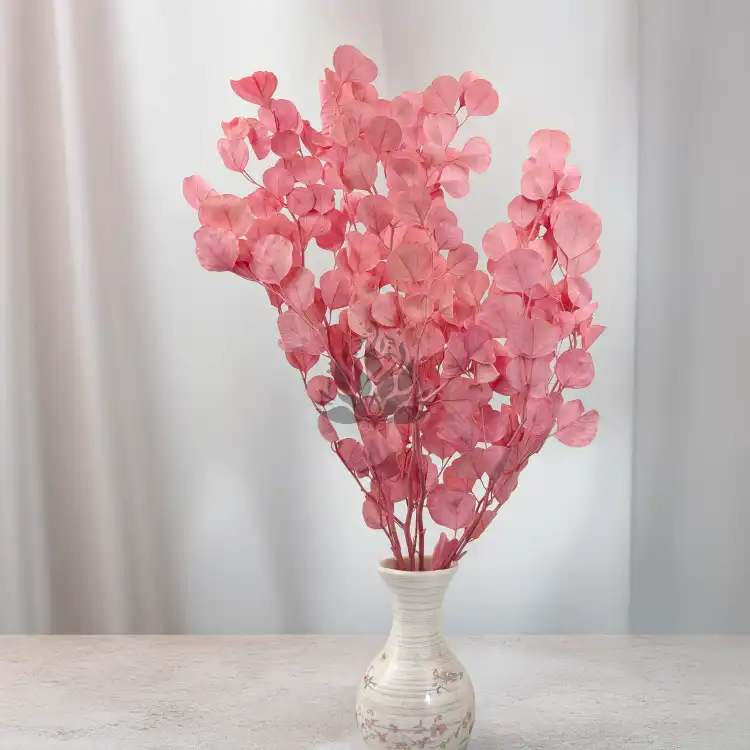 POPULUS ROYAL PINK 6.png