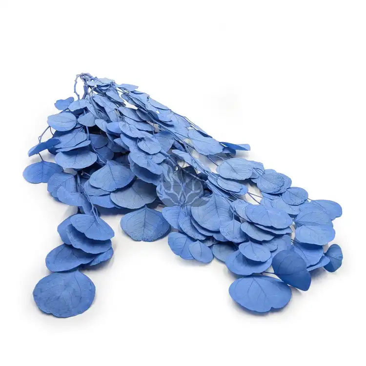 POPULUS ROYAL BLUE 0.png