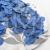 POPULUS ROYAL BLUE 2.png