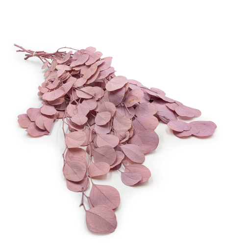 POPULUS ROYAL SAND BEIGE.png