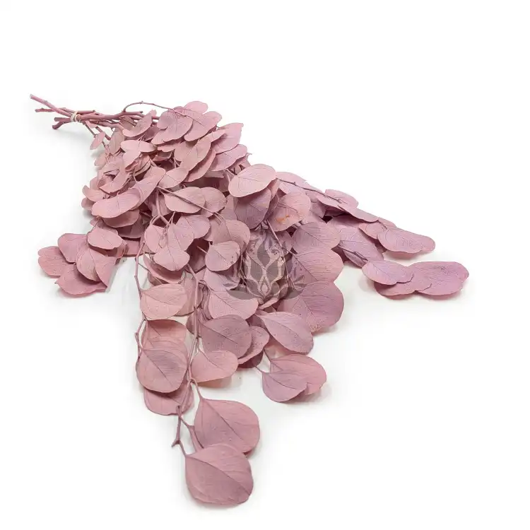 POPULUS ROYAL SAND BEIGE.png
