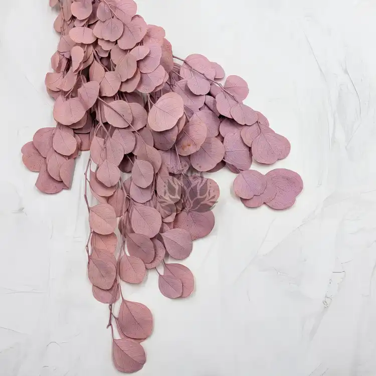 POPULUS ROYAL SAND BEIGE 1.png