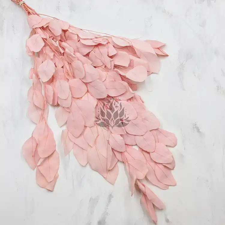 POPULUS ROYAL LT PINK 1.png