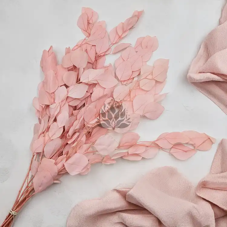 POPULUS ROYAL LT PINK 3.png