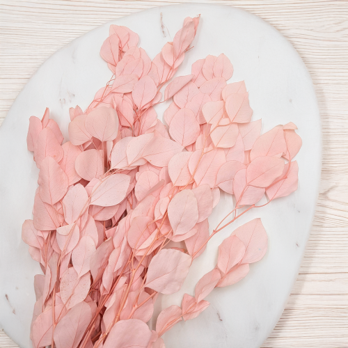 POPULUS ROYAL LT PINK 4.png