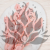 POPULUS ROYAL LT PINK 4.png