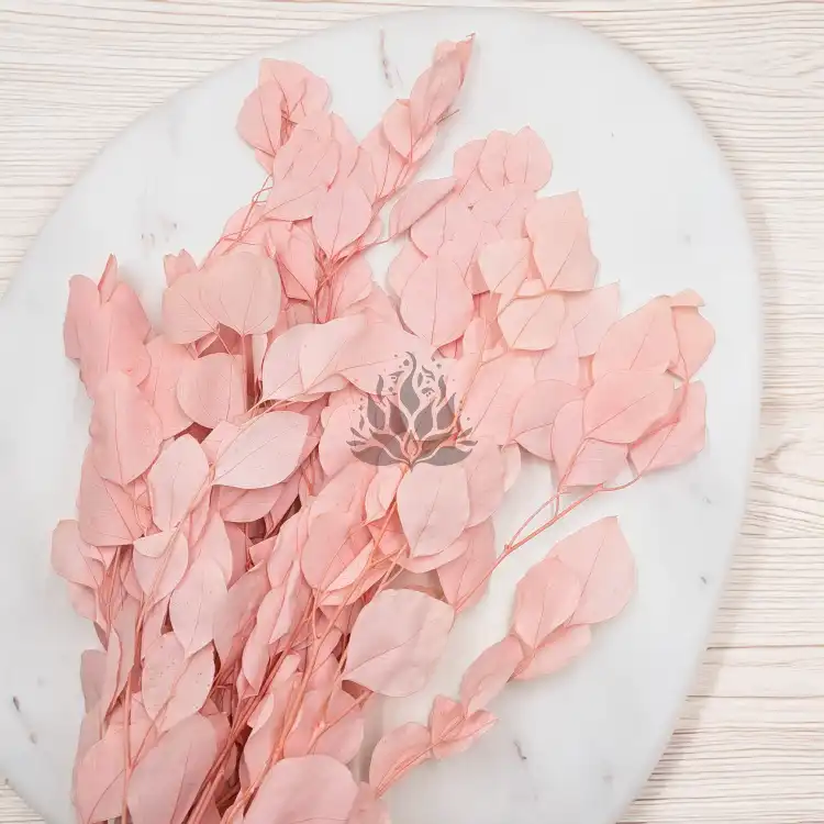 POPULUS ROYAL LT PINK 4.png