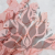 POPULUS ROYAL LT PINK 5.png