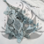POPULUS ROYAL LT BLUE 1.png