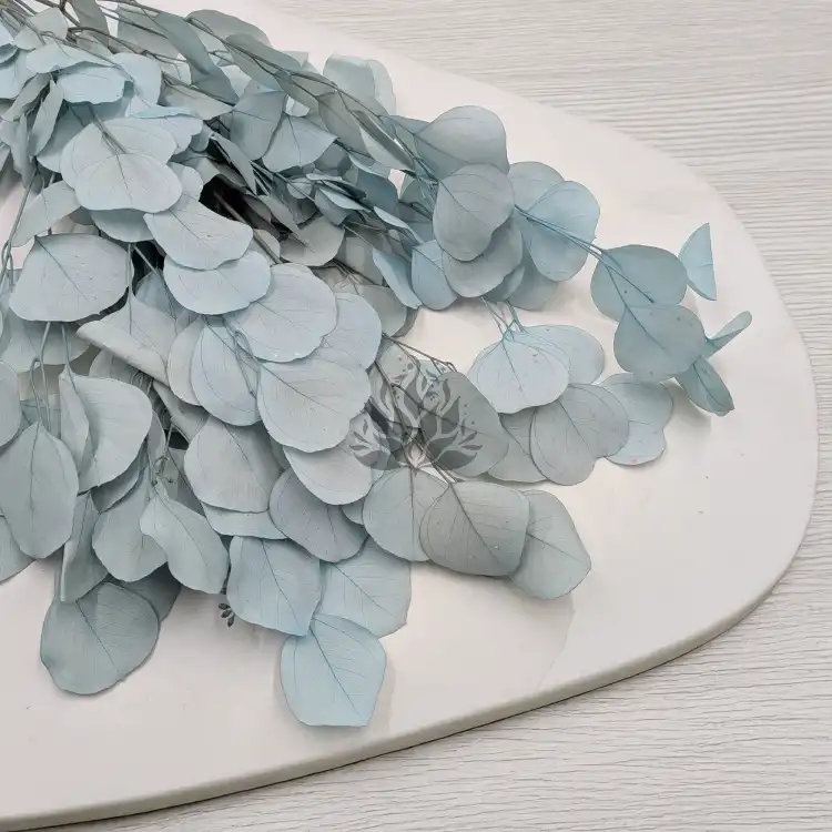 POPULUS ROYAL LT BLUE 2.png