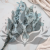 POPULUS ROYAL LT BLUE 5.png