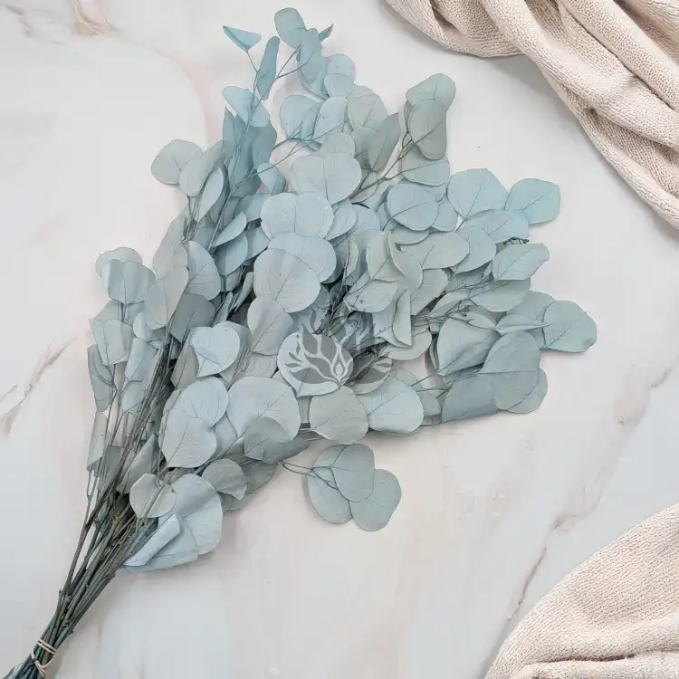 POPULUS ROYAL LT BLUE 5.png