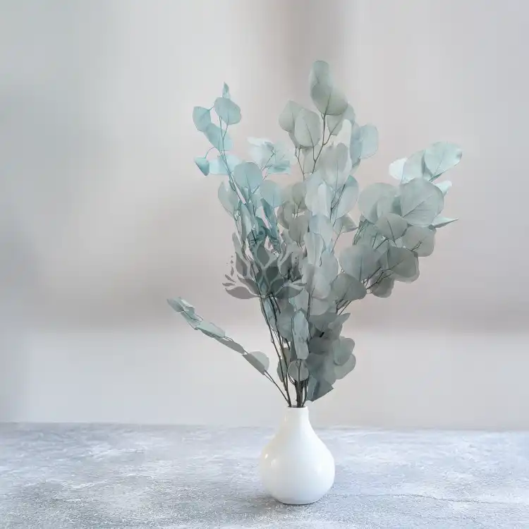 POPULUS ROYAL LT BLUE 6.png