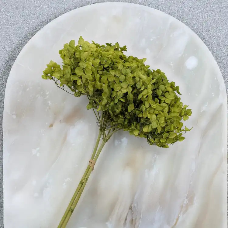 Hydrangea Royal Green 4.png