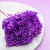 Hydrangea Royal Lavenda 2.png