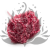 Hydrangea Royal Pink.png